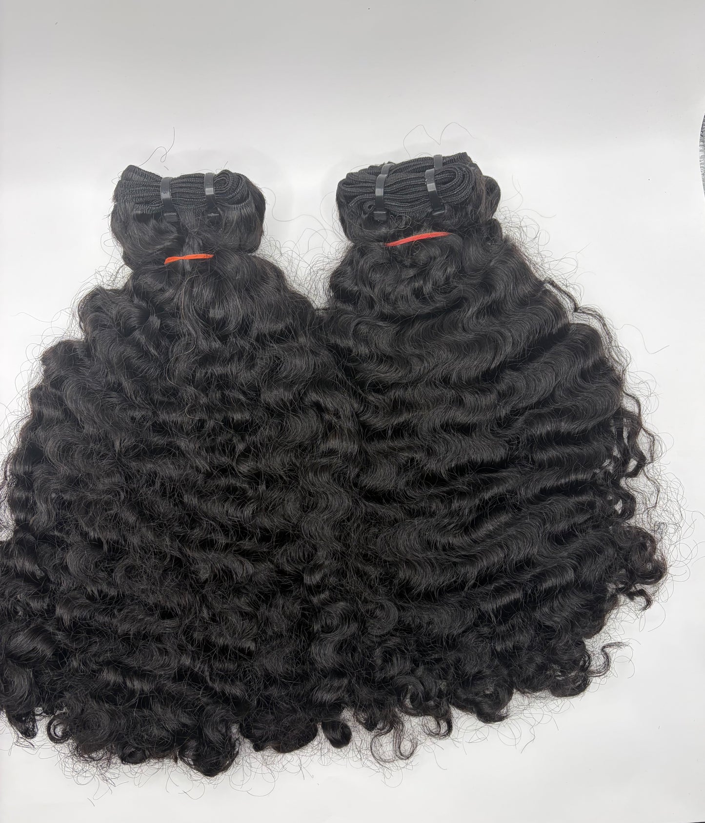 Raw Burmese Curly