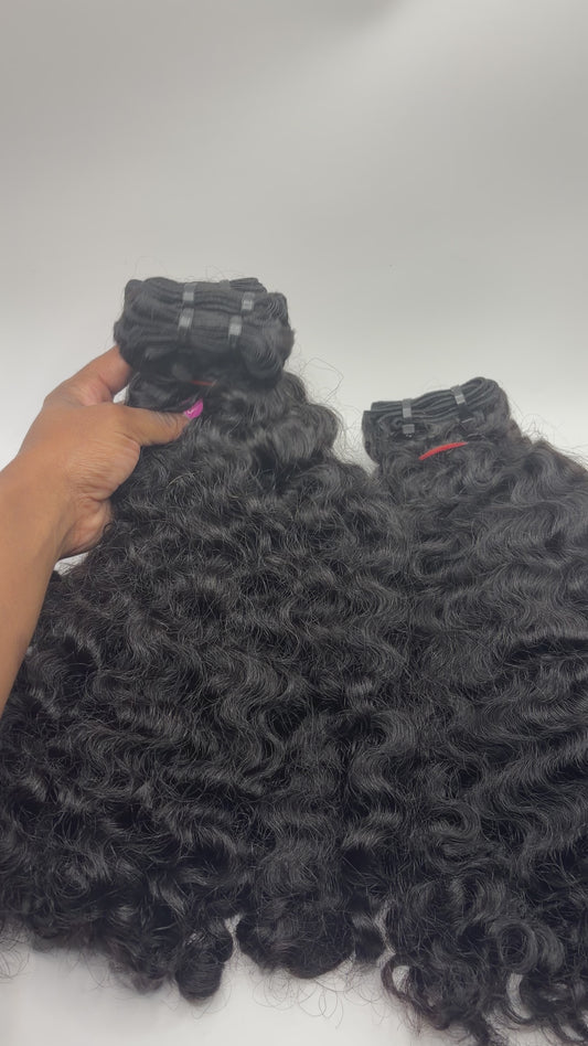Raw Burmese Curly